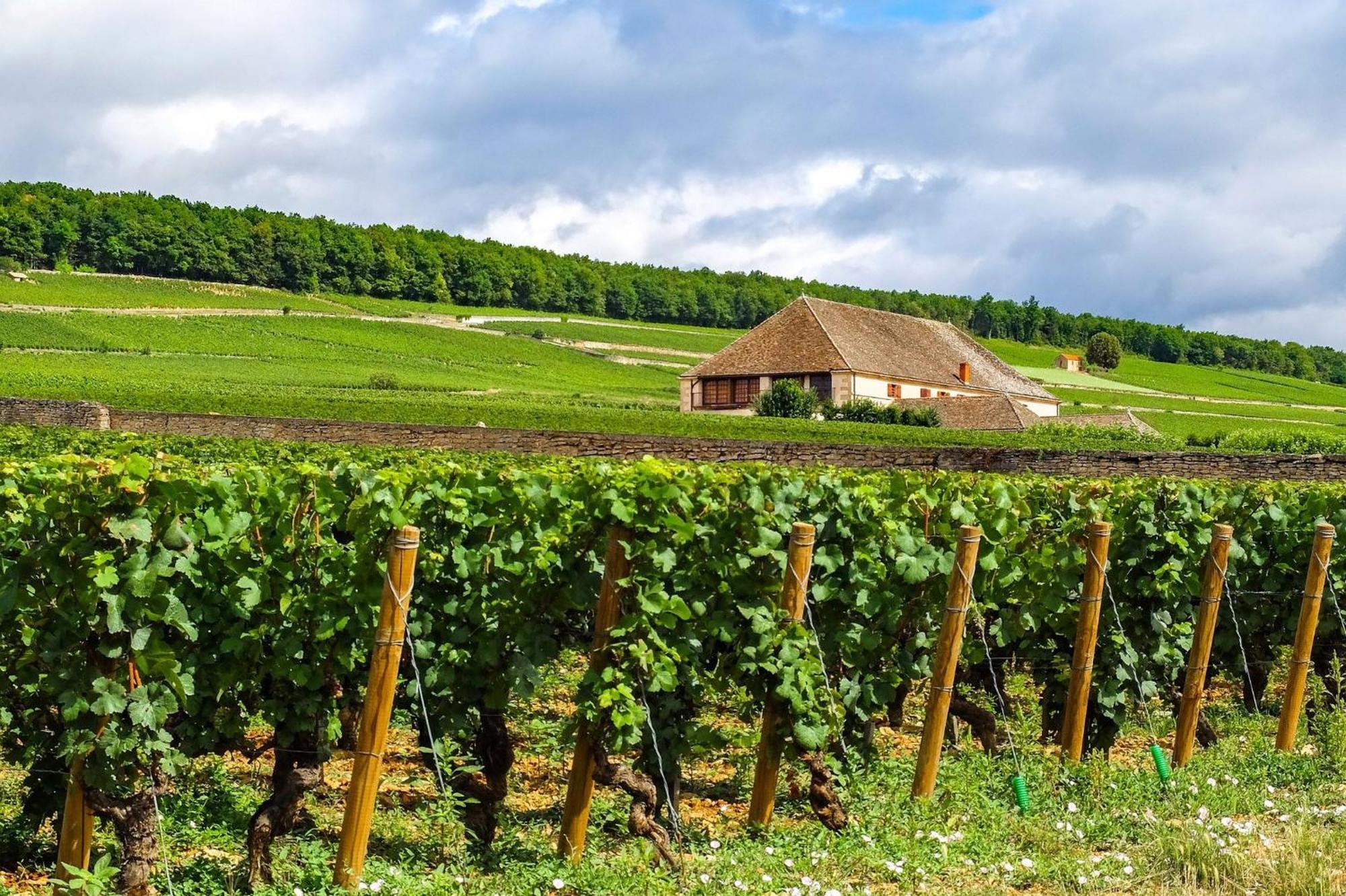 Voco Beaune , Cite Des Vins By Ihg Bagian luar foto